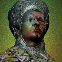 flux4disc_yeasayer